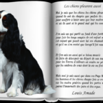 Texte Pour Mon Chien Que J'Aime