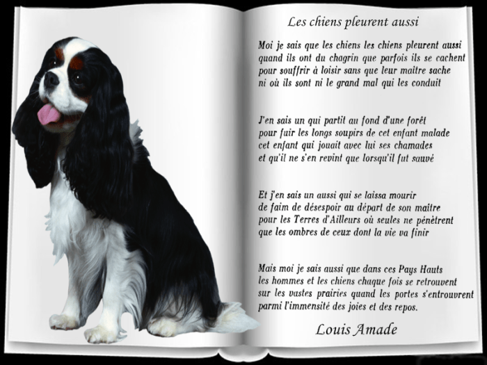 Texte Pour Mon Chien Que J'Aime