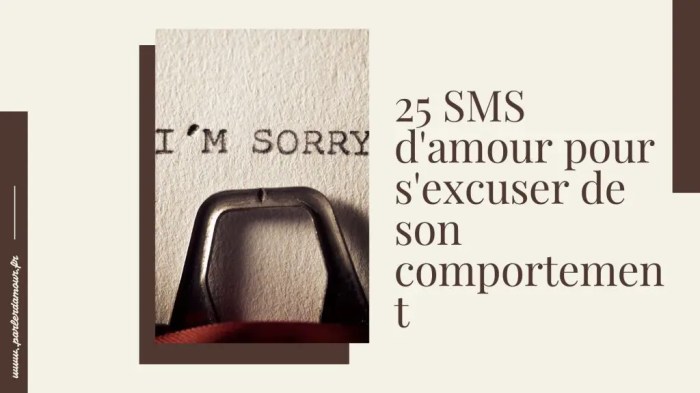 Long Texte Pour S'Excuser De Son Comportement