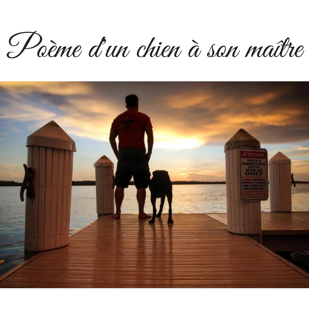 Dans Le Texte Comment S'Appelle Le Chien De Marie