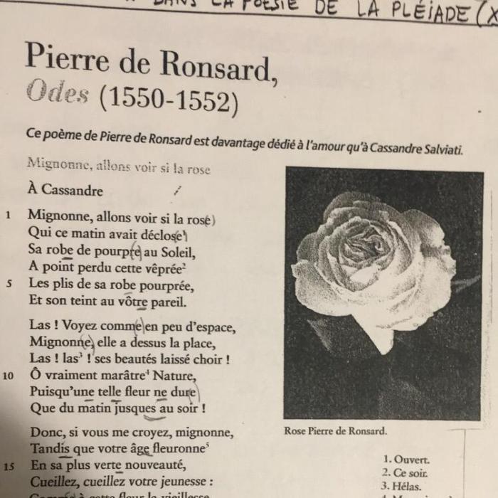 Mignonne Allons Voir Si La Rose Texte Français Moderne