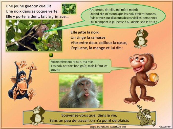 La Guenon Le Singe Et La Noix Texte