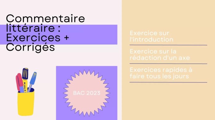 Bac De Français 2023 Combien De Textes