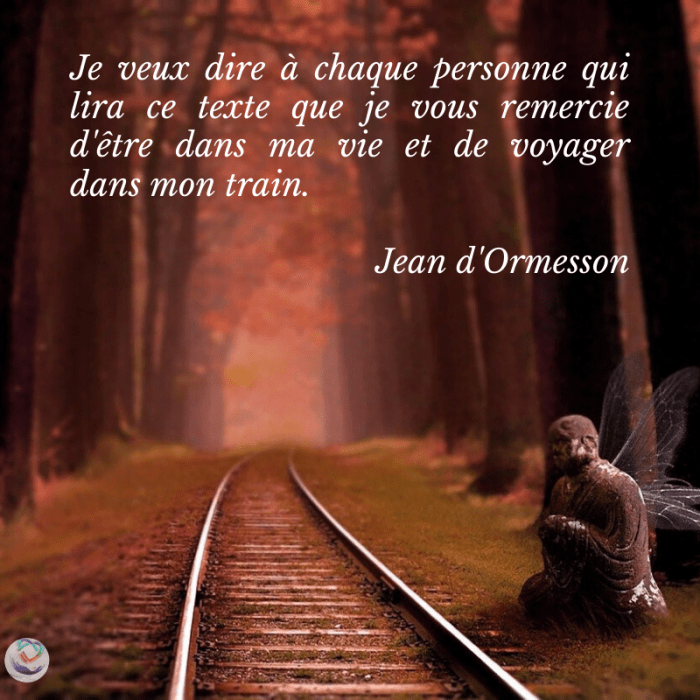 Texte Le Train De La Vie Jean D'Ormesson