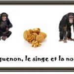 La Guenon Le Singe Et La Noix Texte