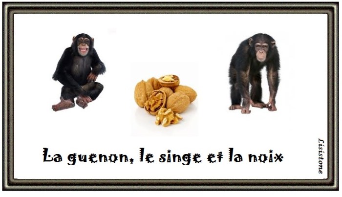 La Guenon Le Singe Et La Noix Texte