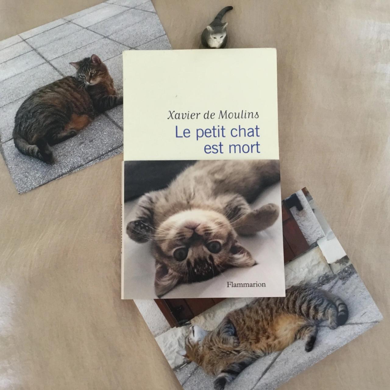 Le Petit Chat Est Mort Molière Texte