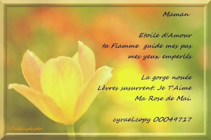 Texte Hommage À Ma Grand Mère Décédée