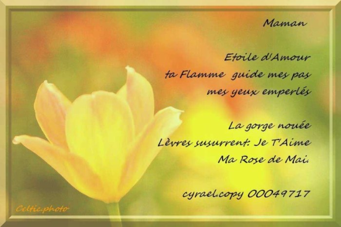 Texte Pour Le Deces D Une Maman